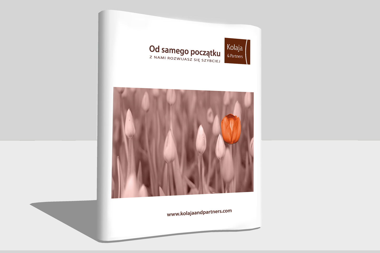 Kolaja & Partners Pop-up